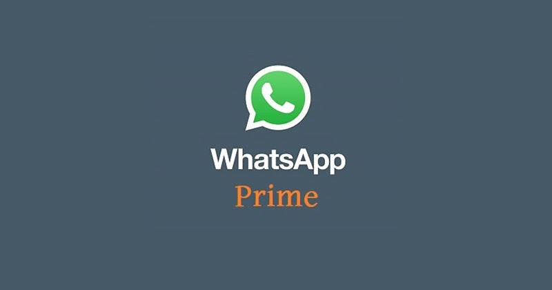 fitur WhatsApp Prime Mod APK
